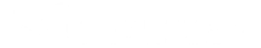 Hoffmann Solution
